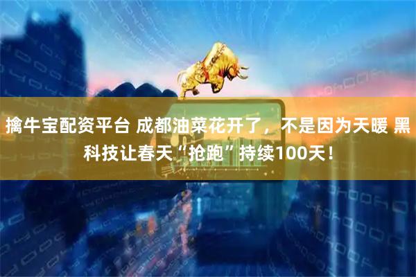 擒牛宝配资平台 成都油菜花开了，不是因为天暖 黑科技让春天“抢跑”持续100天！
