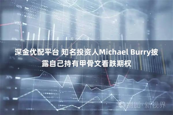 深金优配平台 知名投资人Michael Burry披露自己持有甲骨文看跌期权
