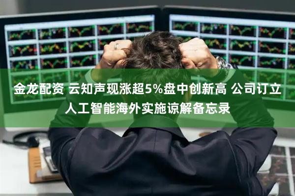 金龙配资 云知声现涨超5%盘中创新高 公司订立人工智能海外实施谅解备忘录